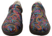 Rainbow Paisley